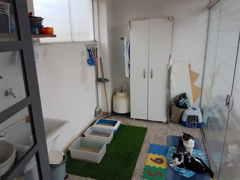 Casa de condomínio à venda Jardim Umarizal com 109m² e 2 quartos por R$ 350.000 - 649491787-img-20191005-wa0010.jpg