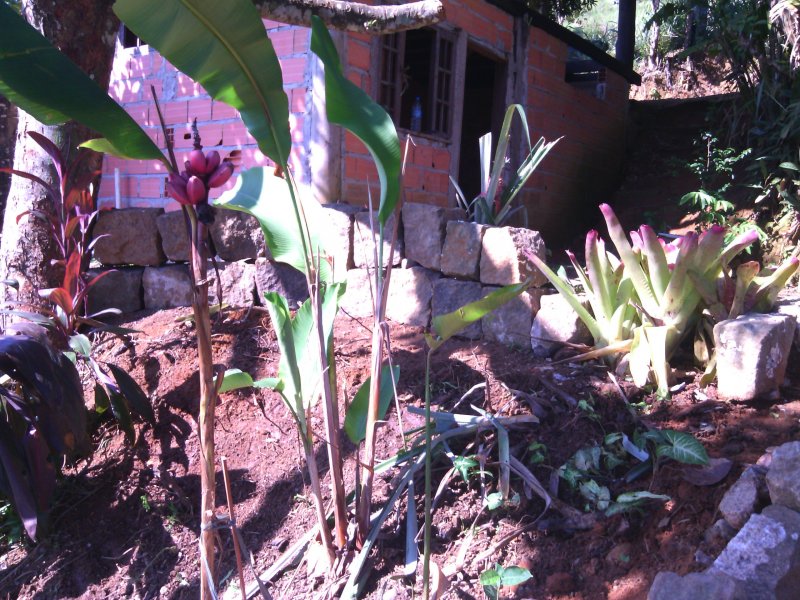 Chácara à venda Bela Vista com 800m² e 1 quarto por R$ 550.000 - 160491279-img-20170411-093600.jpg