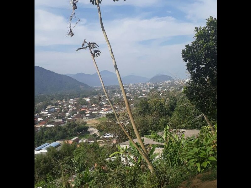 Chácara à venda Bela Vista com 800m² e 1 quarto por R$ 550.000 - 1817743498-img-20170922-wa0014.jpg