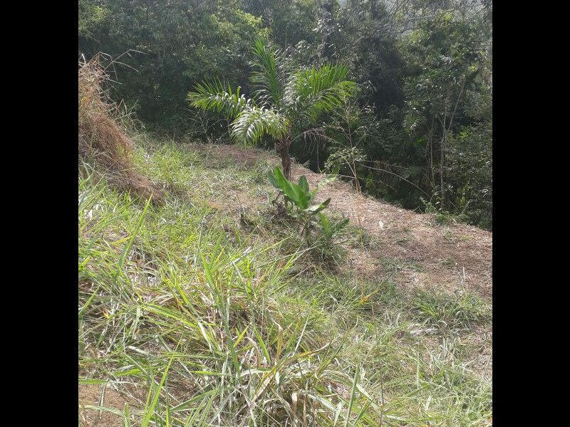 Chácara à venda Bela Vista com 800m² e 1 quarto por R$ 550.000 - 308750295-img-20170922-wa0022.jpg