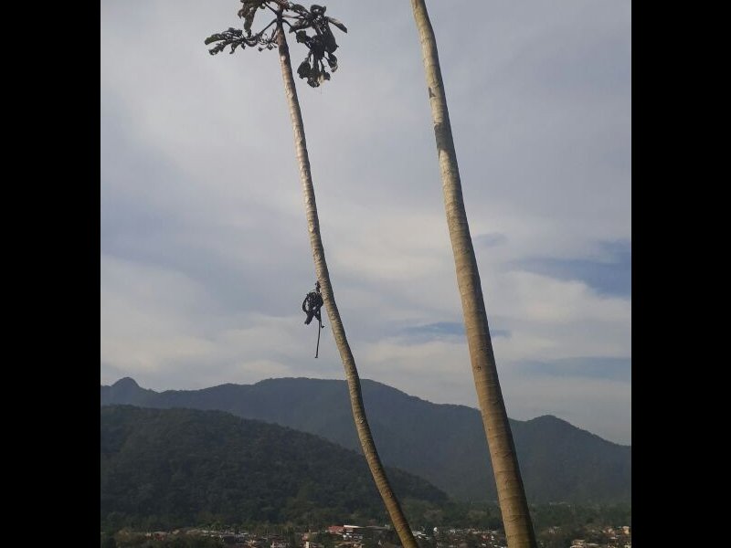 Chácara à venda Bela Vista com 800m² e 1 quarto por R$ 550.000 - 548781777-img-20170922-wa0011.jpg
