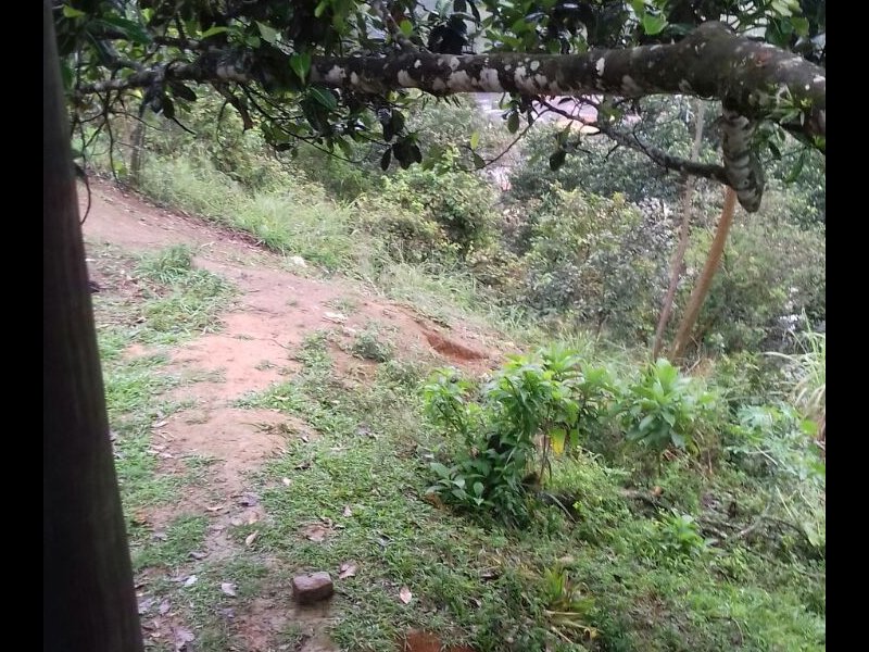 Chácara à venda Bela Vista com 800m² e 1 quarto por R$ 550.000 - 577994333-img-20170901-wa0001.jpg