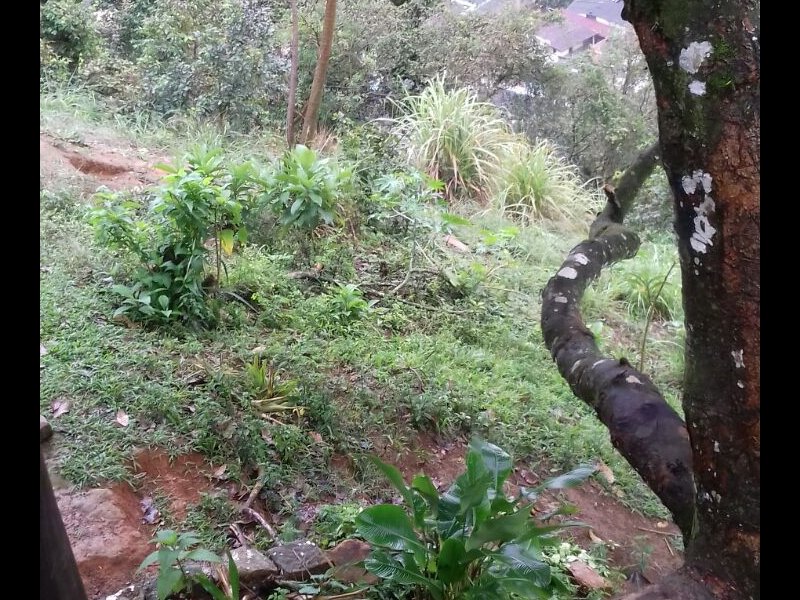 Chácara à venda Bela Vista com 800m² e 1 quarto por R$ 550.000 - 588326205-img-20170901-wa0003.jpg