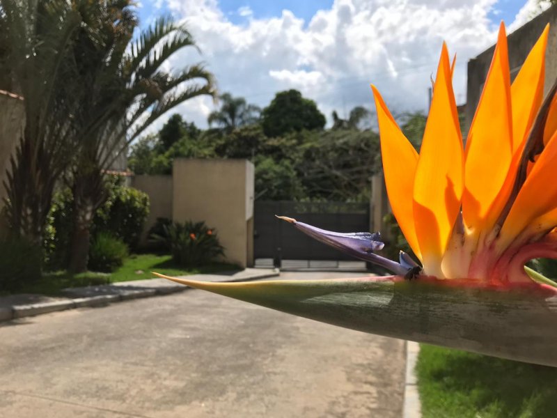 Casa de condomínio à venda Vila Renato (Zona Leste) com 86m² e 3 quartos por R$ 390.000 - 338029289-f9778023-0f65-48f7-b4a1-13db42fe5525.jpeg