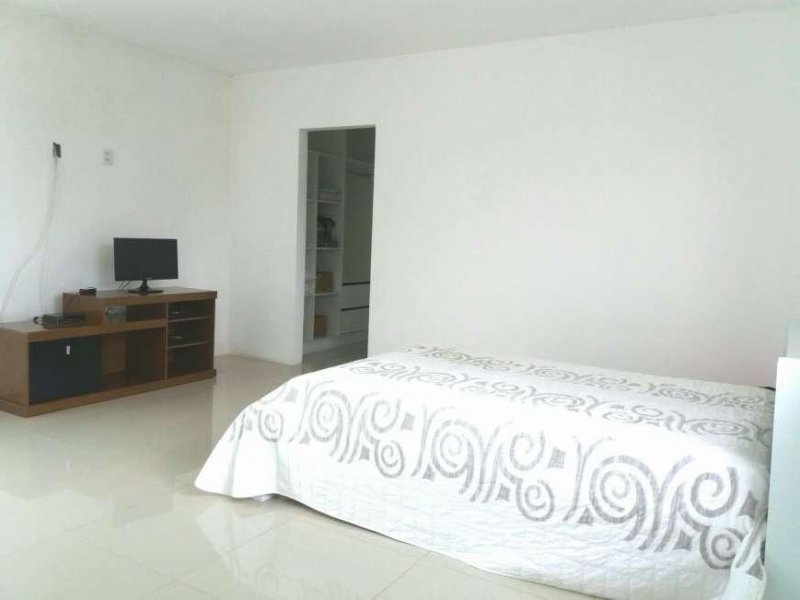 Casa para alugar Ribeirão da Ilha com 230m² e 2 quartos por R$ 330.000 - 119566310-unnamed-14.jpg