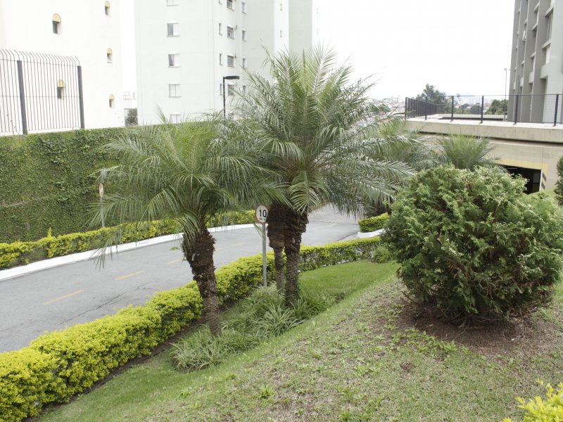 Apartamento à venda Vila Diva com 90m² e 3 quartos por R$ 450.000 - 4025982-mg-1929.JPG