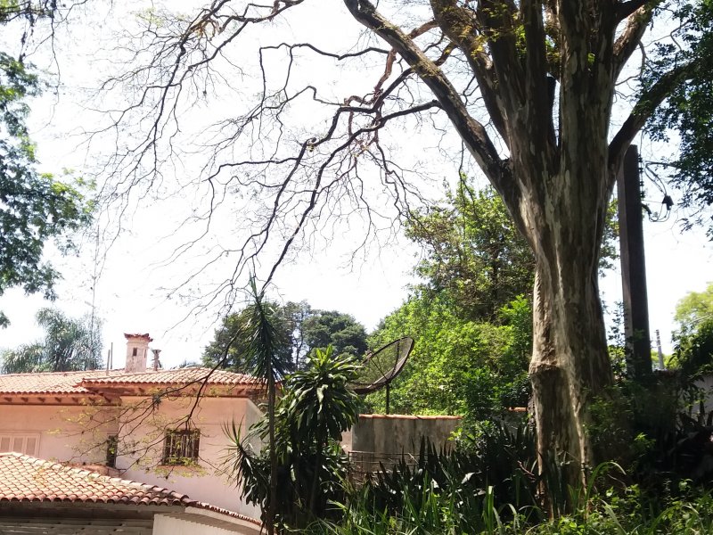 Casa à venda Barro Branco (Zona Norte) com 5500m² e 4 quartos por R$ 20.000.000 - 1531350748-20171017-133652.jpg