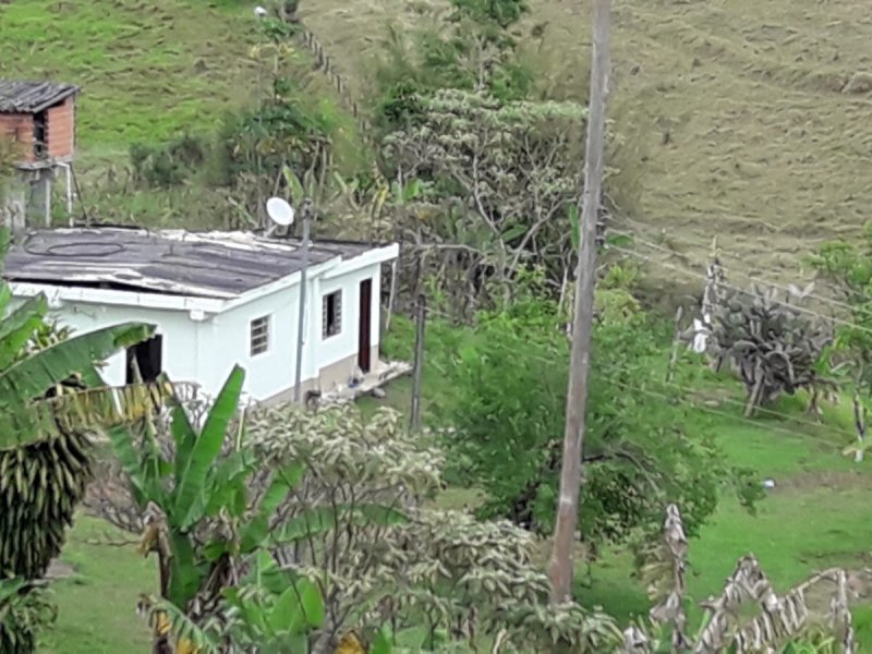 Sítio à venda Itapeti com 27091m² e 3 quartos por R$ 3.000.000 - 1595456965-photo-2019-10-20-20-36-55-3.jpg