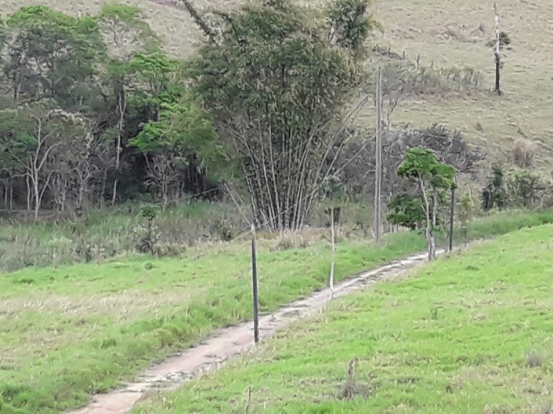 Sítio à venda Itapeti com 27091m² e 3 quartos por R$ 3.000.000 - 162353494-photo-2019-10-20-20-36-19-1.jpg