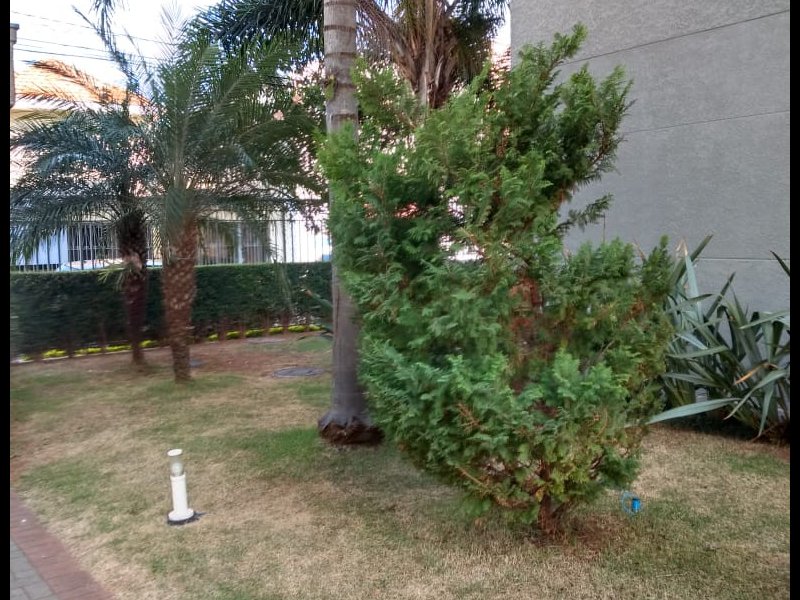 Apartamento à venda Vila Carrão com 58m² e 3 quartos por R$ 260.000 - 1148023477-c33b4389-f12c-44c4-9458-541af07d8bb8.jpeg