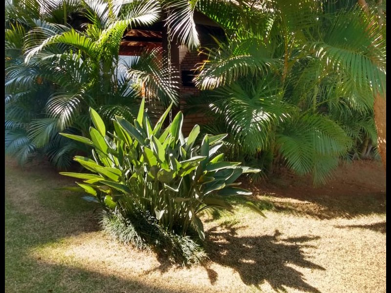 Apartamento à venda Vila Carrão com 58m² e 3 quartos por R$ 260.000 - 2141421853-6db0062a-4968-4e25-bfe1-1d247f6d0d7e.jpeg