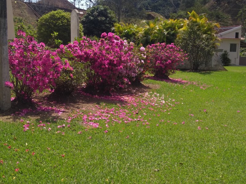 Sítio à venda Centro com 150m² e 8 quartos por R$ 1.300.000 - 1566071364-img-20190907-122541196.jpg