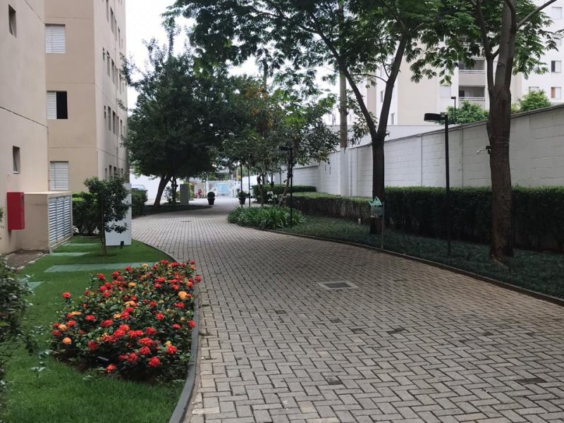 Apartamento à venda Água Branca com 45m² e 2 quartos por R$ 265.000 - 680227338-img-20191111-wa0017.jpg