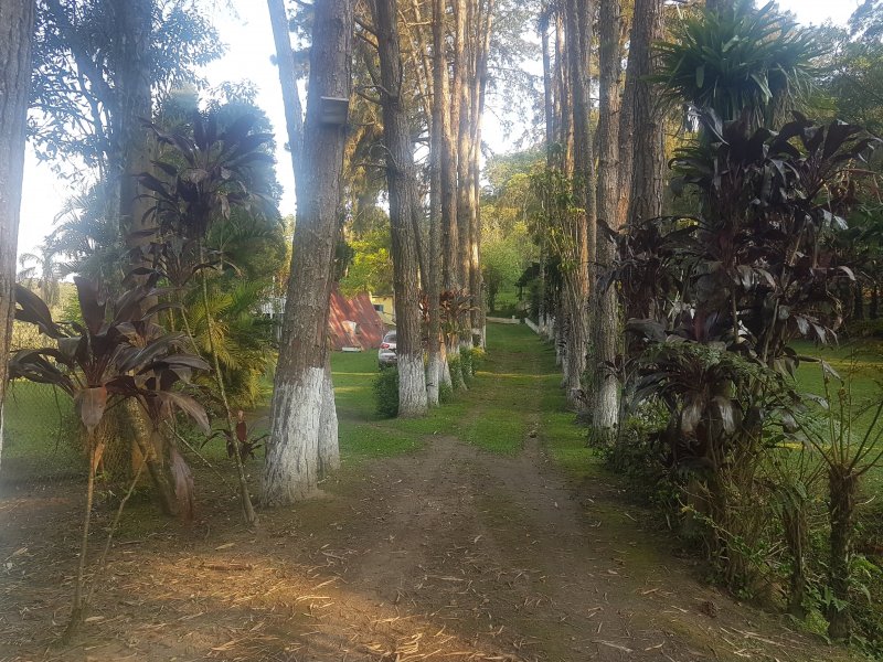 imóvel com 6580m² - Sítio Taquaral - Santo André