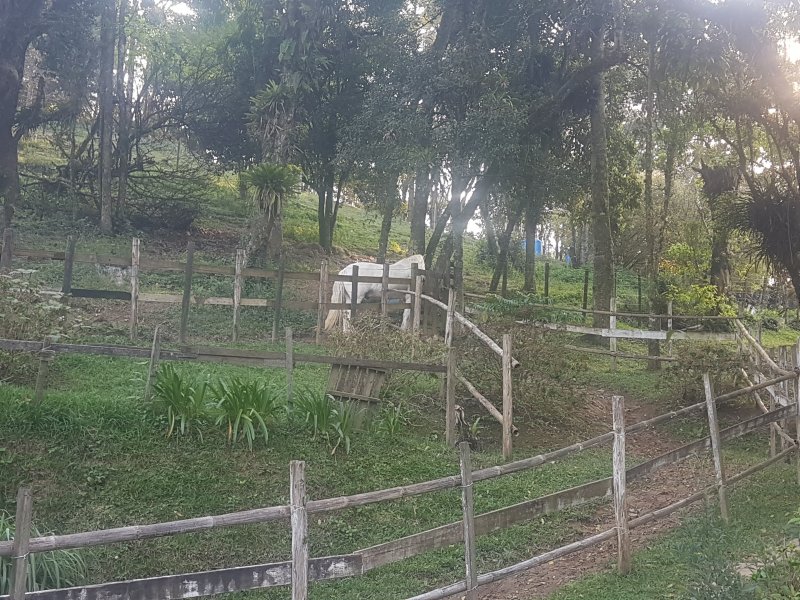 imóvel com 6580m² - Sítio Taquaral - Santo André