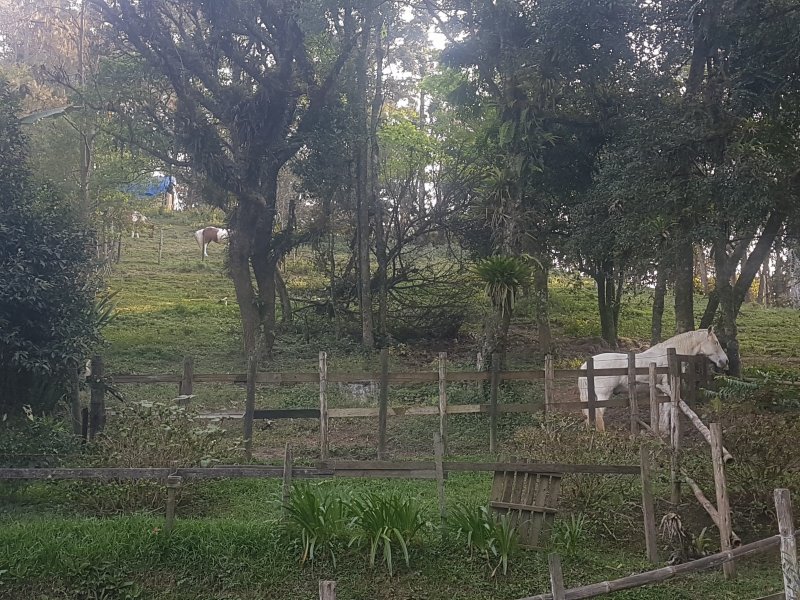 imóvel com 6580m² - Sítio Taquaral - Santo André