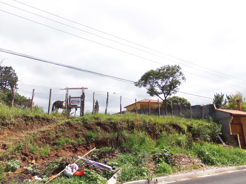 Terreno à venda Recanto Maravilha III com 750m² e  quartos por R$ 250.000 - 100-7353.JPG