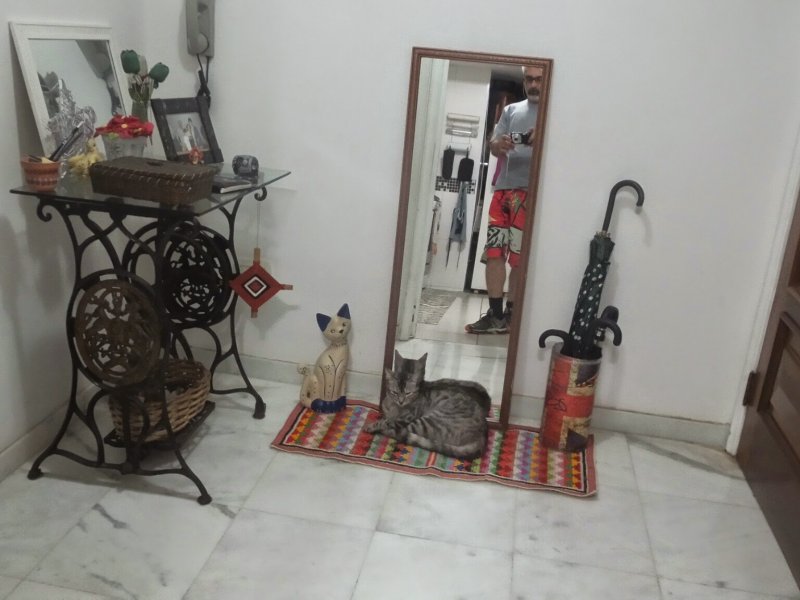 Apartamento à venda Menino Deus com 174m² e 3 quartos por R$ 1.131.000 - 2114385920-inbound2682796624411151533.jpg