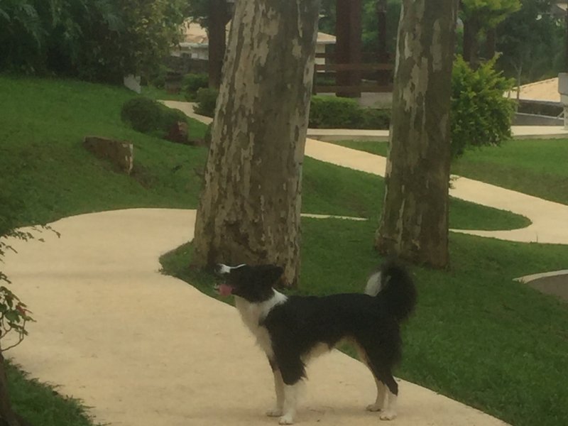 Loft à venda Horizontal Park com 58m² e 1 quarto por R$ 450.000 - 200870248-7ed68a32-bbf6-409a-8717-d5be85af2468.jpeg