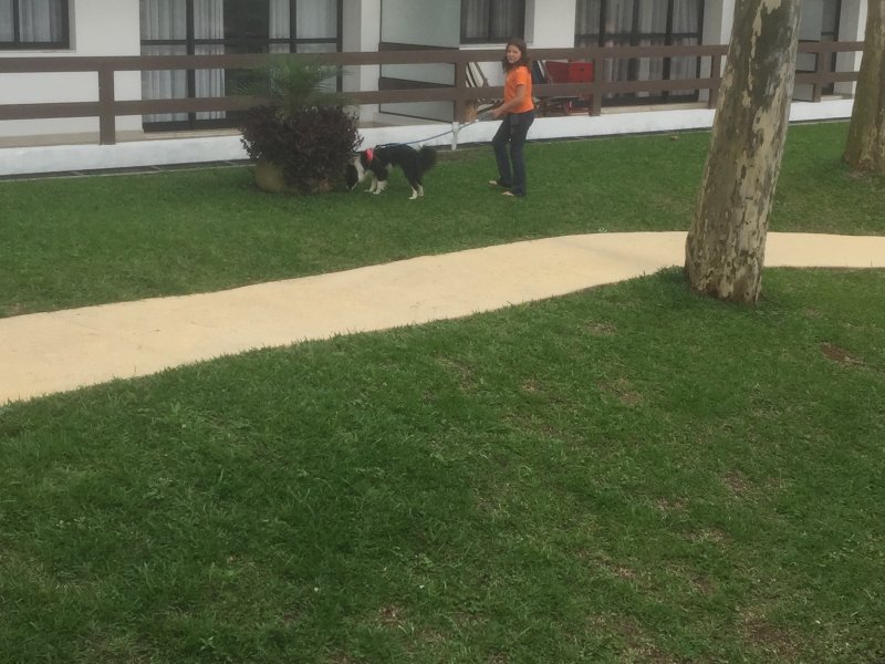 Loft à venda Horizontal Park com 58m² e 1 quarto por R$ 450.000 - 625577722-eec1f84f-6d05-468d-aba6-01bc0e522fac.jpeg