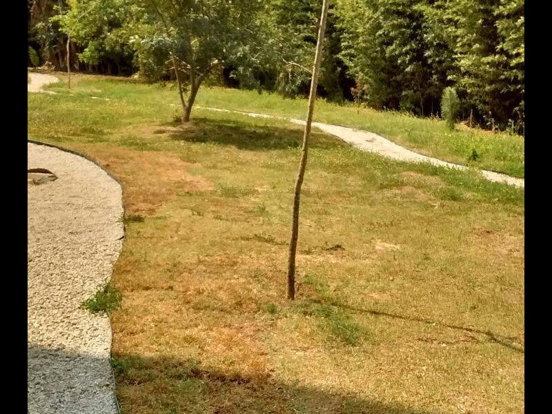 imóvel com 61m² - Jardim Torino - Cotia