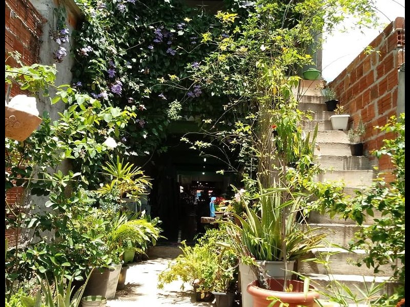 Comercial à venda Centro com 294m² e 2 quartos por R$ 750.000 - 521297350-img-20191113-113812-255.jpg