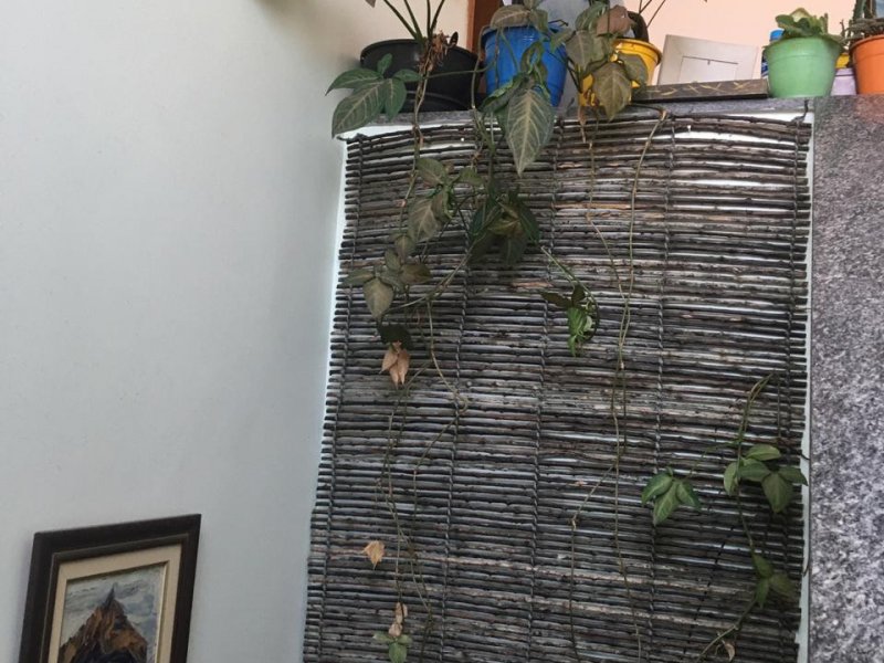 Casa à venda Jardim Monte Alegre com 233m² e 3 quartos por R$ 790.000 - 107648680-whatsapp-image-2019-11-15-at-12.jpeg
