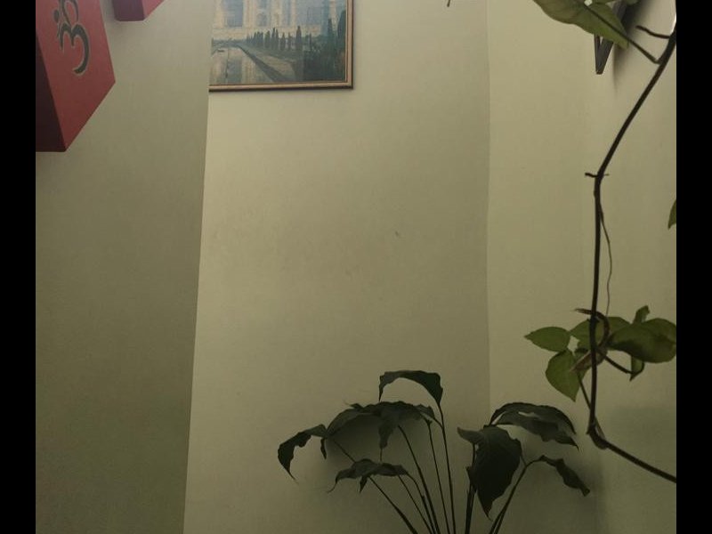 Casa à venda Jardim Monte Alegre com 233m² e 3 quartos por R$ 790.000 - 1812827420-whatsapp-image-2019-11-15-at-12.jpeg