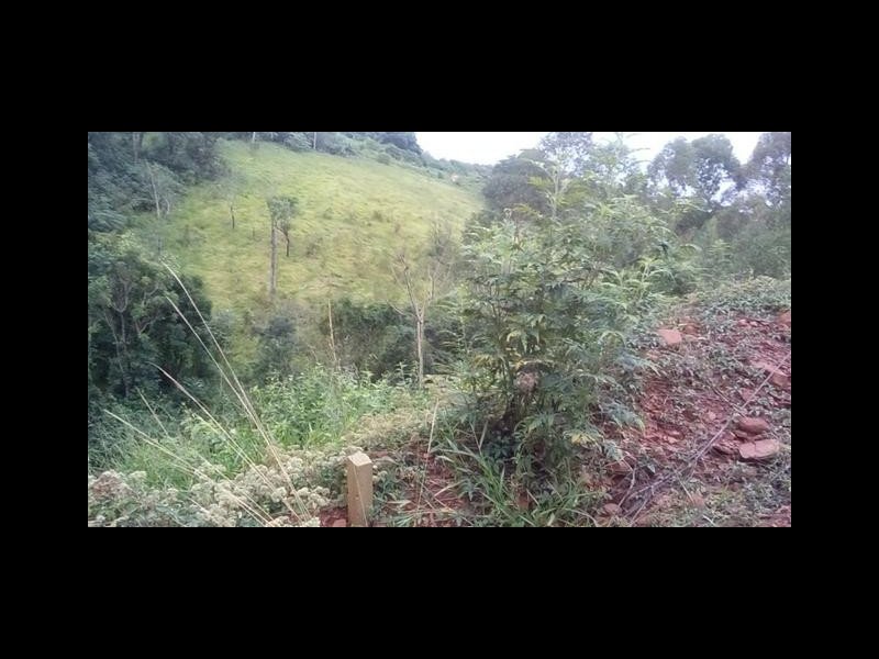 Chácara à venda centro com 1032m² e 5 quartos por R$ 25.000 - 999616195-5.jpg