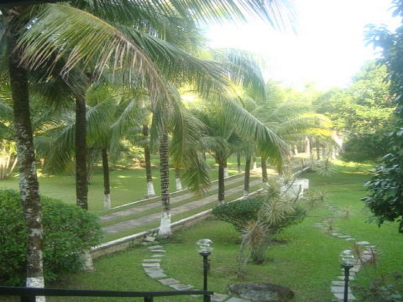 Sítio à venda Tingui com 10000m² e 5 quartos por R$ 700.000 - 1167039621-dsc01334-rev1.jpg