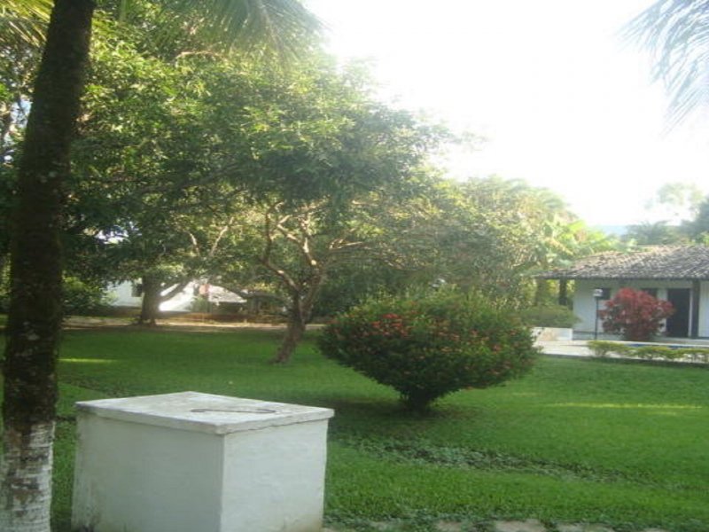 Sítio à venda Tingui com 10000m² e 5 quartos por R$ 700.000 - 1416971416-dsc01292-rev1.jpg