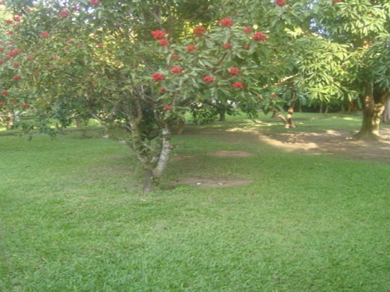 Sítio à venda Tingui com 10000m² e 5 quartos por R$ 700.000 - 1573893677-dsc01319-rev1.jpg