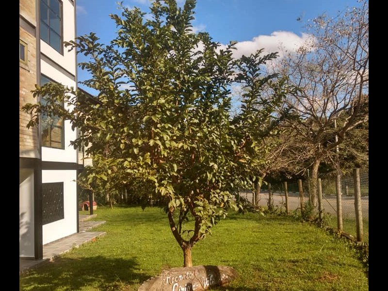 Casa de condomínio à venda Brasilândia com 300m² e 3 quartos por R$ 700.000 - 1532878389-65884517-2891295967553035-8827265151813025792-n.jpg