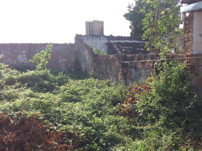 Terreno à venda Alagoinhas Velha com 50m² e  quartos por R$ 20.000 - 362330974-img-20191023-wa0019.jpg