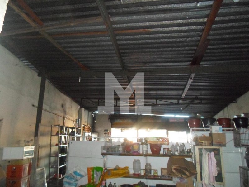 Comercial à venda Jardim Teresópolis com 190m² e  quartos por R$ 440.000 - 1250003139-sam-0026.jpeg