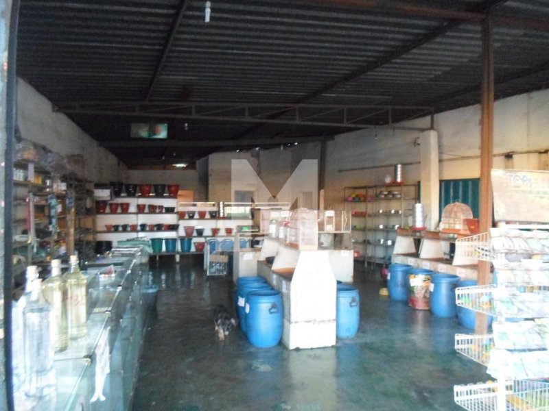 Comercial à venda Jardim Teresópolis com 190m² e  quartos por R$ 440.000 - 1379977795-sam-0020.jpeg