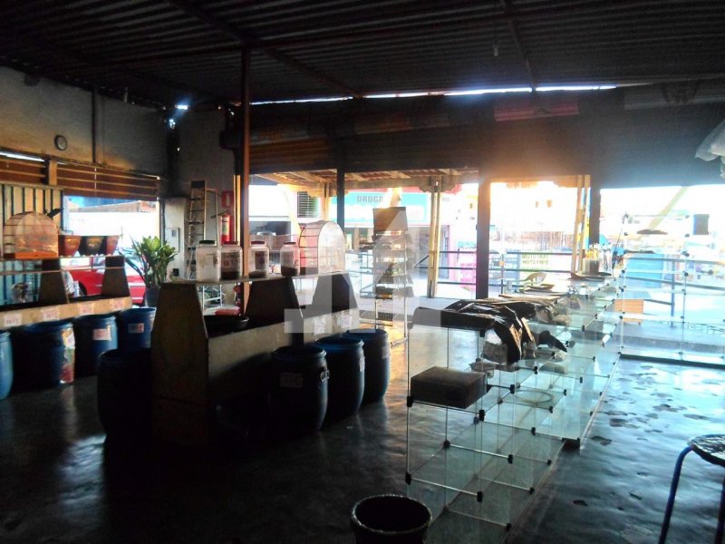 Comercial à venda Jardim Teresópolis com 190m² e  quartos por R$ 440.000 - 1773102033-sam-0030.jpeg