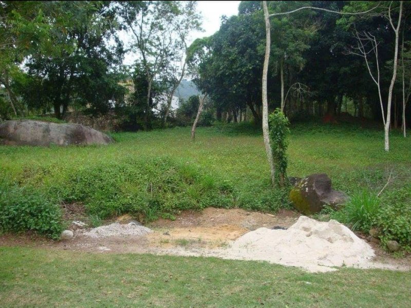 Terreno à venda Itanhangá com 1000m² e  quartos por R$ 1.600.000 - 1618853934-img-20190819-085605-597.jpg