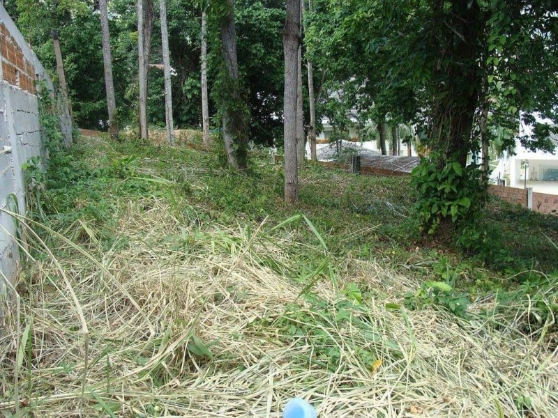 Terreno à venda Itanhangá com 1000m² e  quartos por R$ 1.600.000 - 2095939333-img-20190823-152818-920.jpg