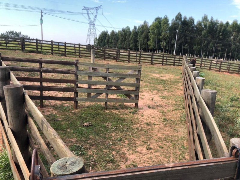 Sítio à venda Irmãos Camolesi com 22m² e 2 quartos por R$ 1.700.000 - 1109637703-b89213f3-2e3a-4c76-9ecc-68772fac9f18.jpeg