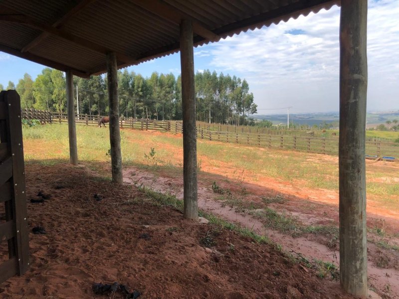 Sítio à venda Irmãos Camolesi com 22m² e 2 quartos por R$ 1.700.000 - 116618206-2f22df88-54b0-4076-8ff5-d6d95b69d6f3.jpeg