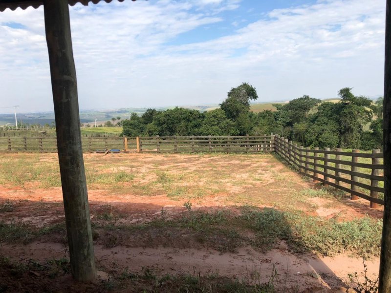 Sítio à venda Irmãos Camolesi com 22m² e 2 quartos por R$ 1.700.000 - 11705687-f24ece92-d1fc-49d3-a823-2b9148cbce81.jpeg