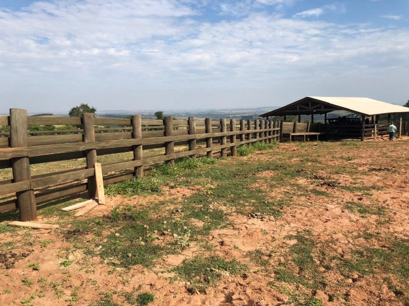 Sítio à venda Irmãos Camolesi com 22m² e 2 quartos por R$ 1.700.000 - 2027172840-a1c4f569-3fc2-449c-ad45-e1c02cd1403c.jpeg