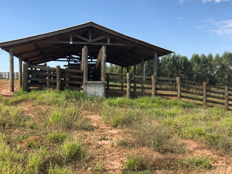 Sítio à venda Irmãos Camolesi com 22m² e 2 quartos por R$ 1.700.000 - 2108574357-8428f6ef-d0f1-4d7c-9bb9-02238bed9899.jpeg