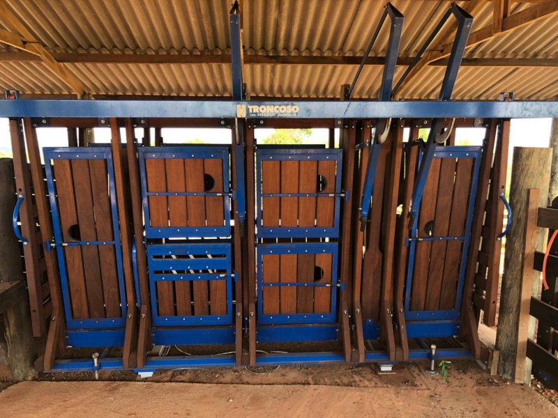 Sítio à venda Irmãos Camolesi com 22m² e 2 quartos por R$ 1.700.000 - 308085094-237b134b-7b4d-48bb-94b7-521e486a56b4.jpeg