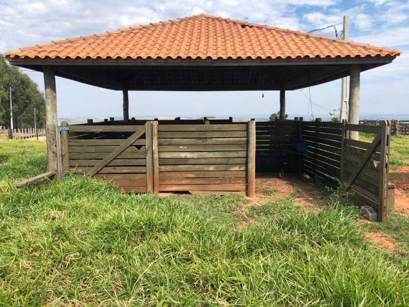 Sítio à venda Irmãos Camolesi com 22m² e 2 quartos por R$ 1.700.000 - 366077305-e48fa3f6-7c40-40e0-ac57-5dc44aae3d8c.jpeg