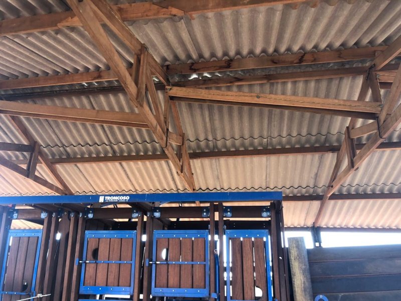 Sítio à venda Irmãos Camolesi com 22m² e 2 quartos por R$ 1.700.000 - 366378361-31b26030-2a86-469f-8f95-5dc87e7eb7d0.jpeg