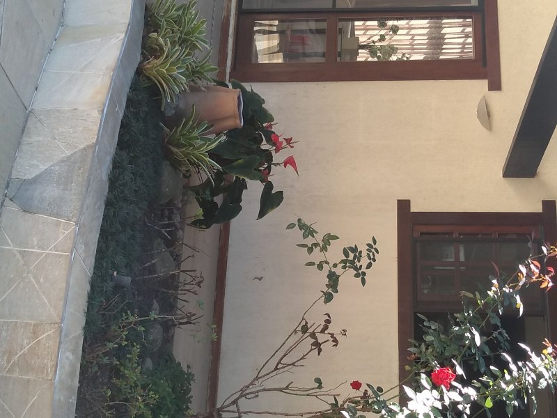 Casa à venda Engenho do Mato com 630m² e 4 quartos por R$ 1.300.000 - 2124337189-varanda-traseira-e-jardim-de-inverno.jpeg