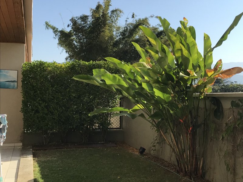 Apartamento à venda Itaguá com 180m² e 3 quartos por R$ 1.450.000 - 1738343616-caea9705-8133-4208-8d32-efb189f869da.jpeg