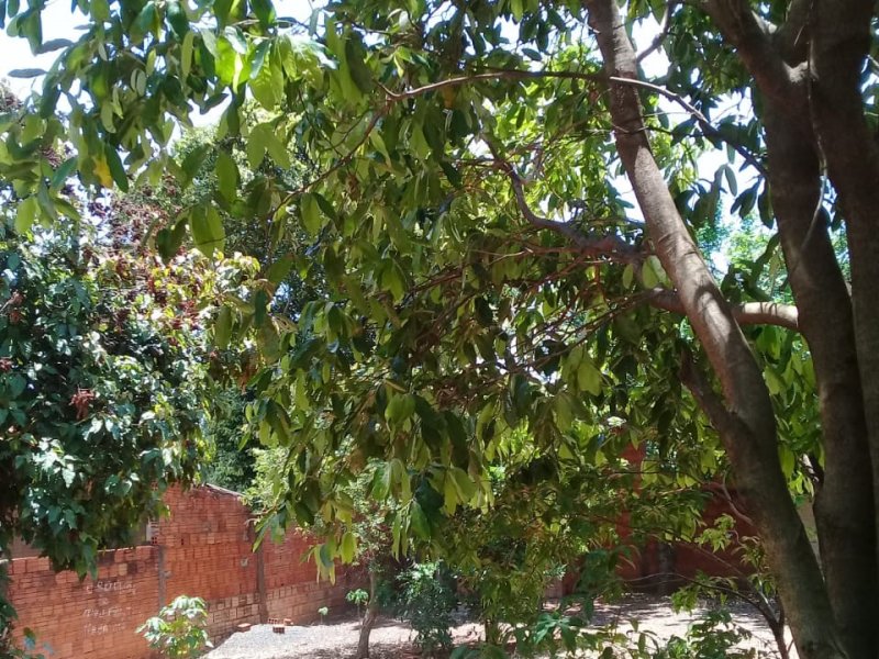 Casa à venda Centro com 385m² e 2 quartos por R$ 150.000 - 1857661684-img-20191119-wa0038.jpg
